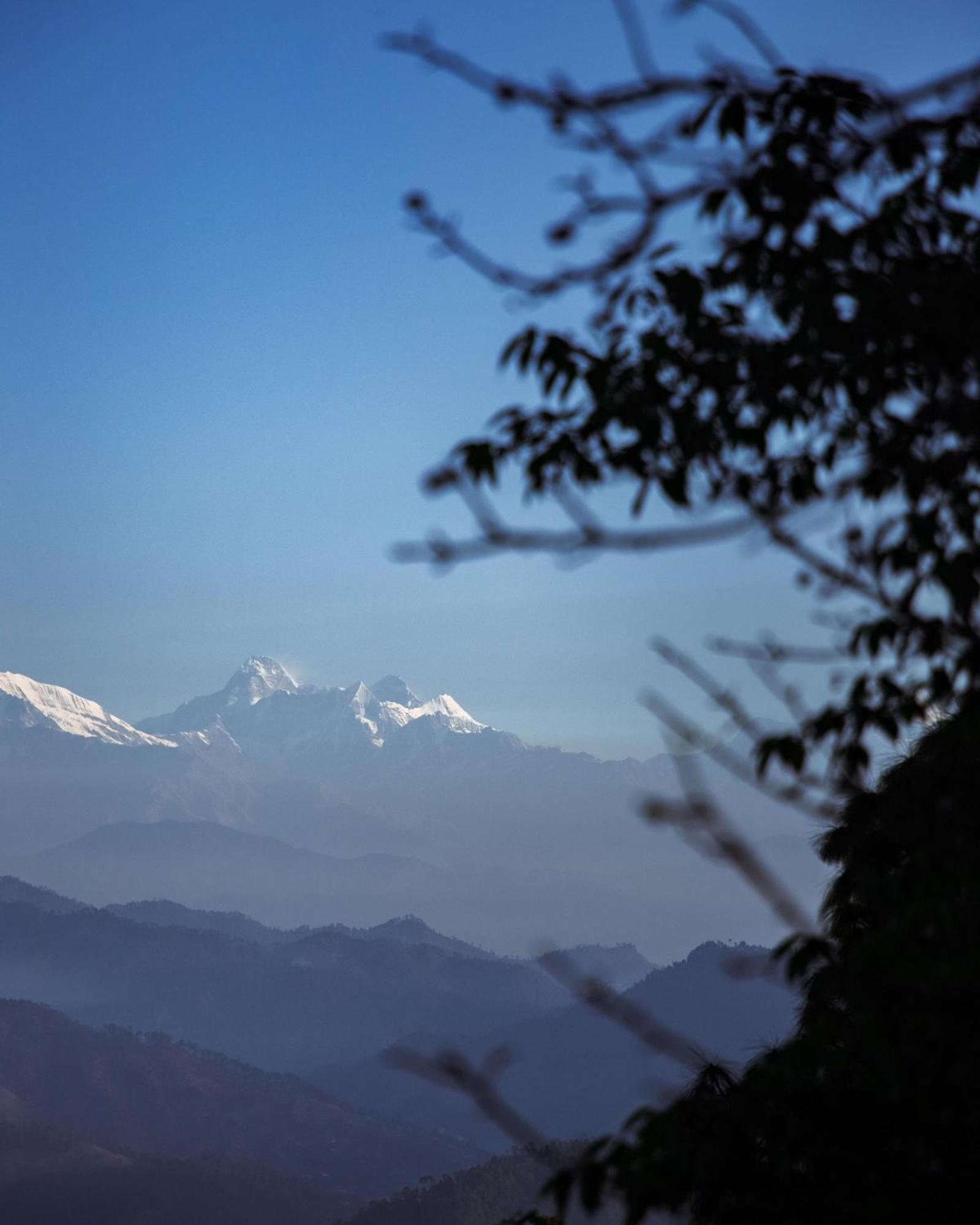 Kasar Himalaya Holiday Resort, Binsar Rd Almora Bagian luar foto